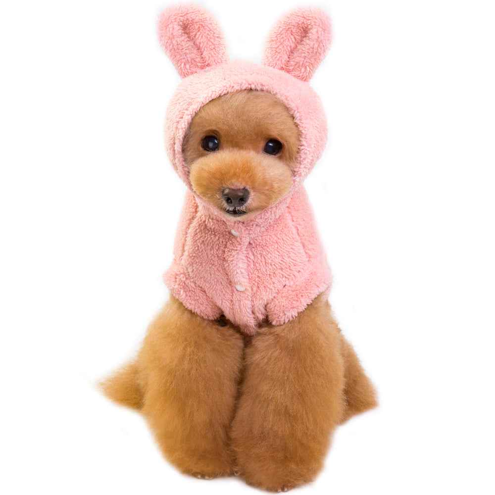 Cat and Dog clothes