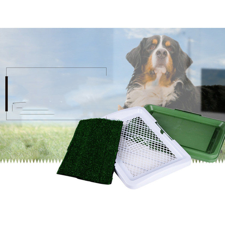 Indoor pet training green - Shop NCLC