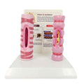 Human Trachea Comparative Anatomy Model | Respiratory System Teaching Aid