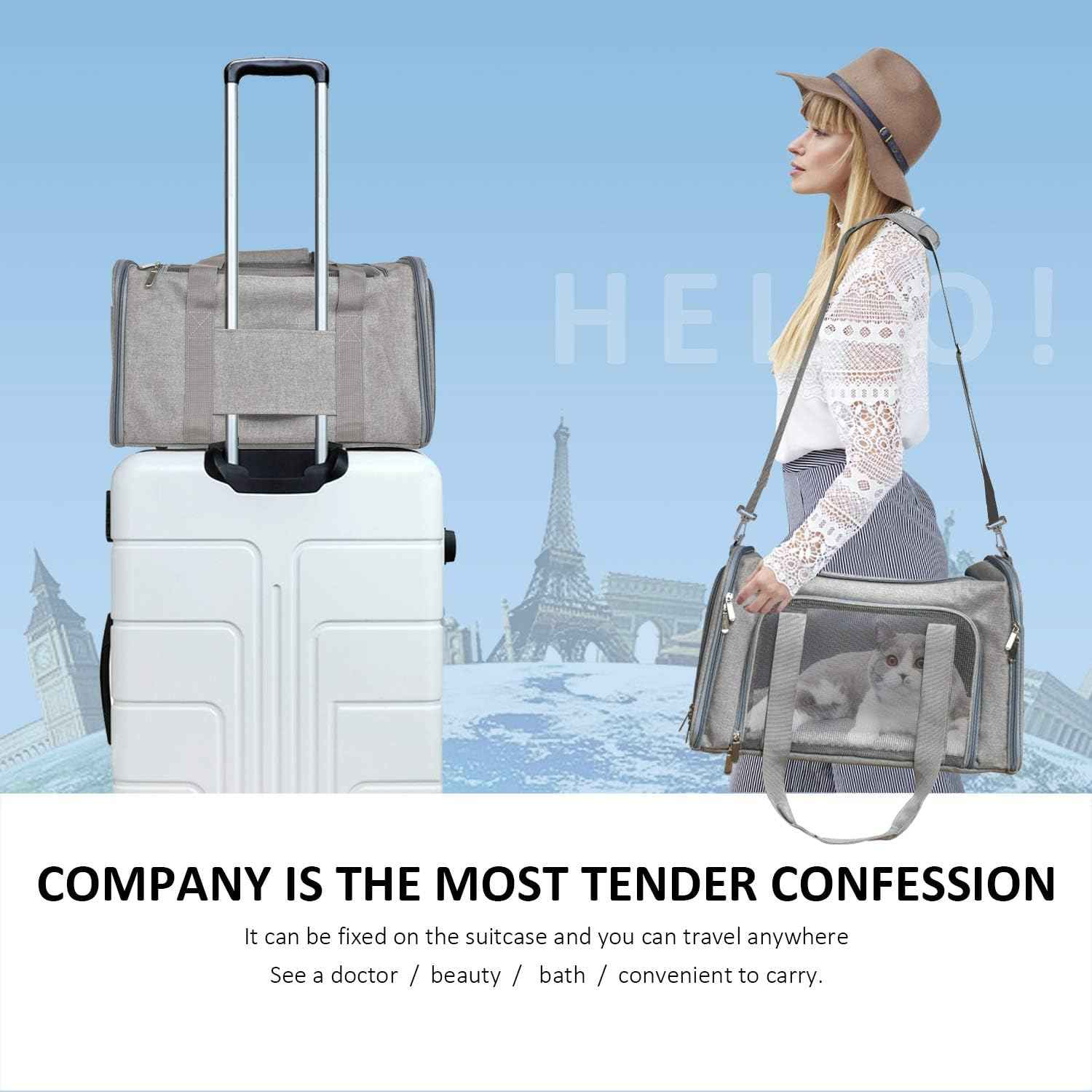 Thickened Waterproof Car Bag For Pets Going Out