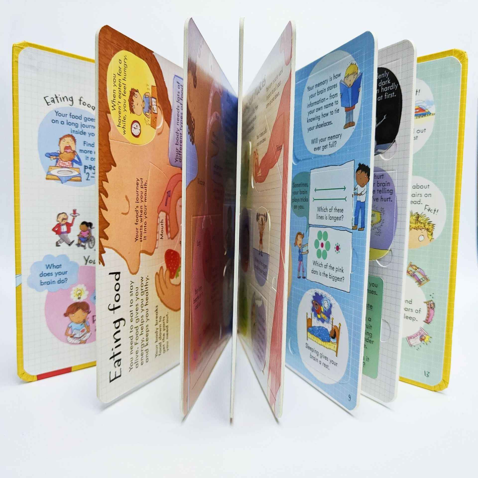 Kids' First English Encyclopedia & Early Learning Picture Book | Bilingual Enlightenment Reading