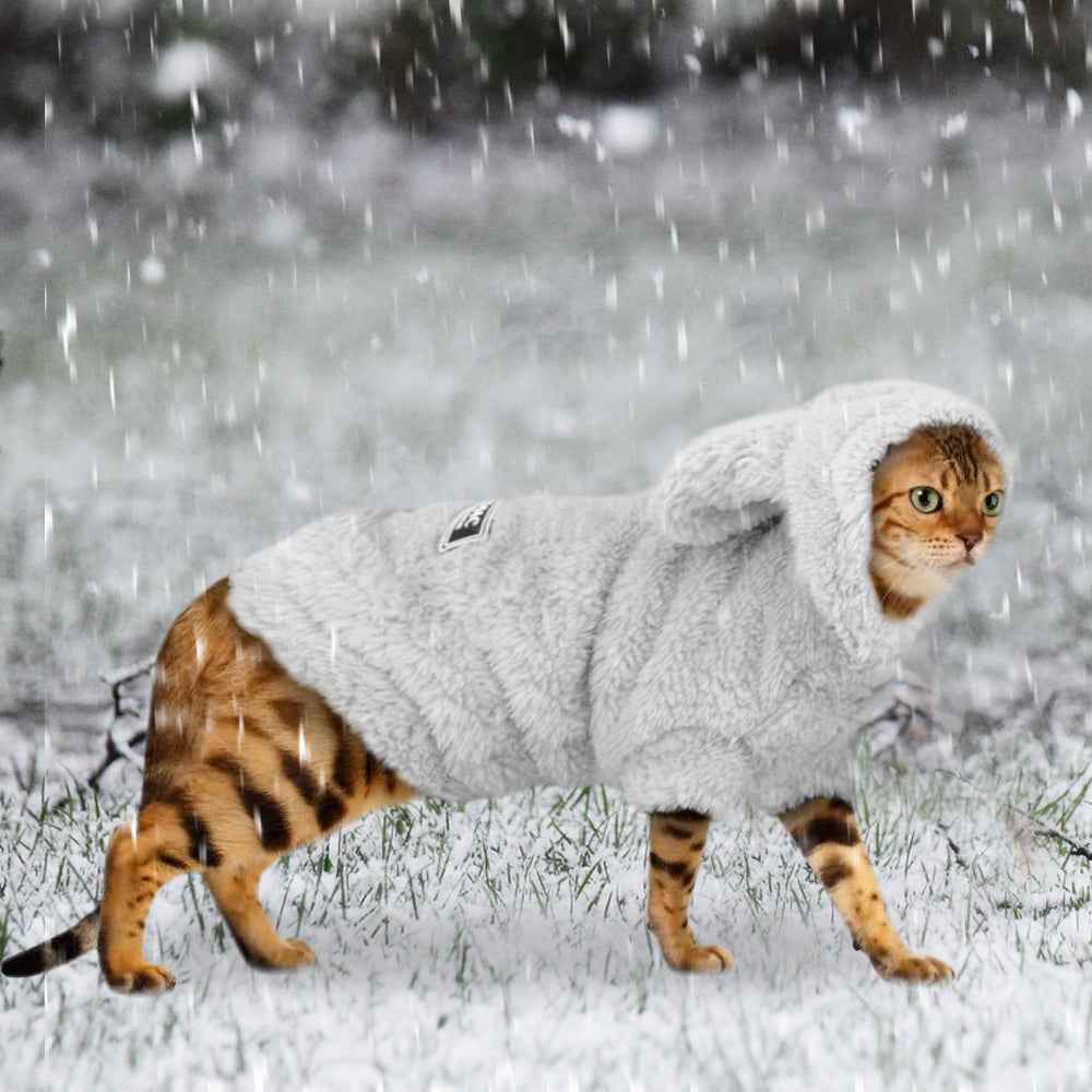 Cat and Dog clothes