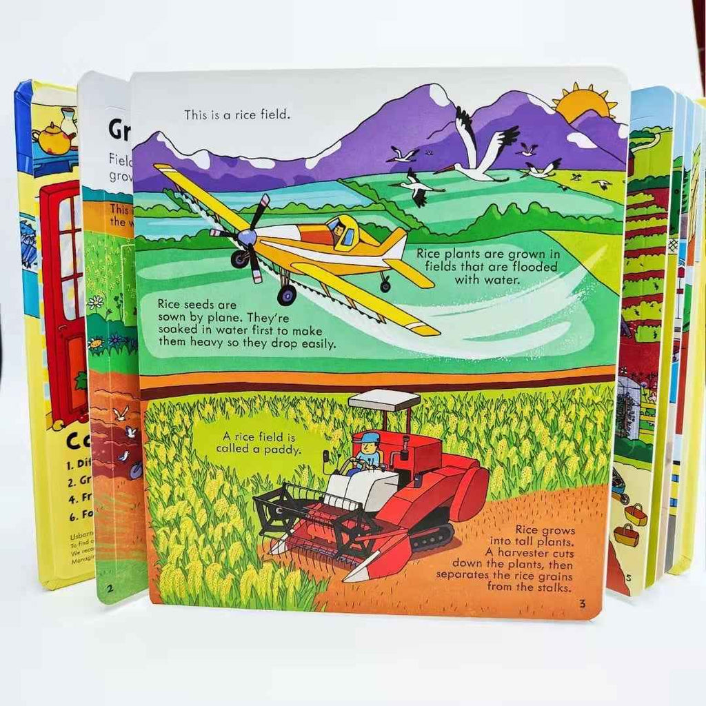 Kids' First English Encyclopedia & Early Learning Picture Book | Bilingual Enlightenment Reading